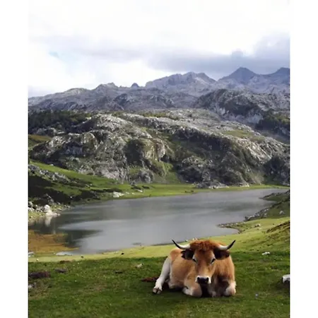 Landhuis Aguas Del Sella - Jacuzzi Precendi
