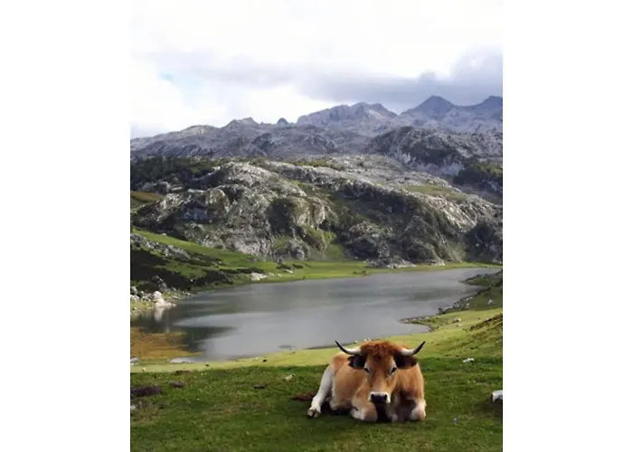 Landhaus Aguas Del Sella - Jacuzzi Precendi